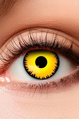 Boland Dinosaurus Kleurlenzen 3 Boland Dinosaurus Kleurlenzen