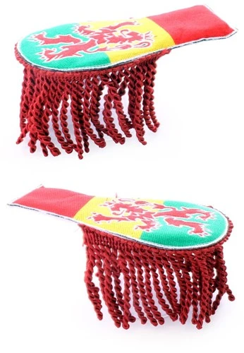 Party Xplosion Epaulette Carnaval Limburg Met Leeuw 4 Party Xplosion Epaulette Carnaval Limburg Met Leeuw - Afbeelding 2