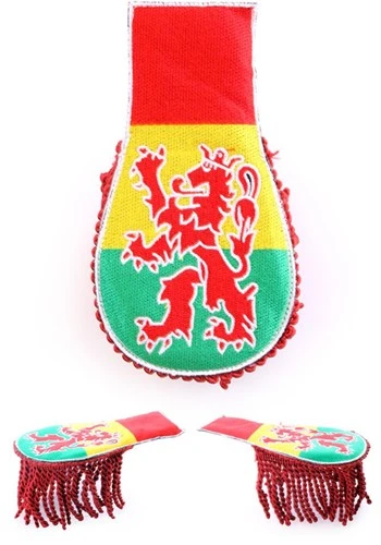 Party Xplosion Epaulette Carnaval Limburg Met Leeuw 3 Party Xplosion Epaulette Carnaval Limburg Met Leeuw