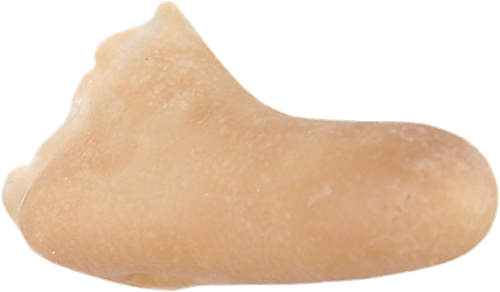 Grimas Latex Cyranoneus 3 Grimas Latex Cyranoneus