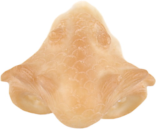 Grimas Latex Drakensnuit 3 Grimas Latex Drakensnuit