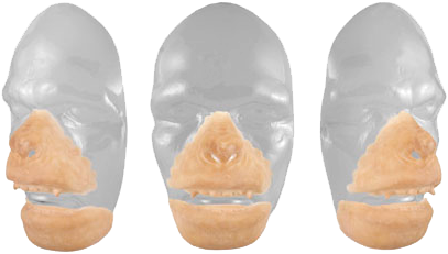 Grimas Latex Gezicht Aap Groot 4 Grimas Latex Gezicht Aap Groot - Afbeelding 2