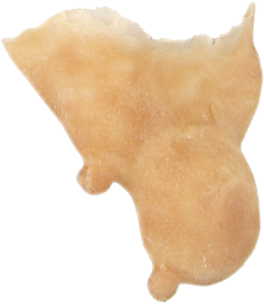 Grimas Latex Heksenkin 3 Grimas Latex Heksenkin