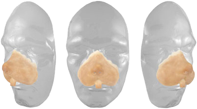 Grimas Latex Knaagdier Snuit 4 Grimas Latex Knaagdier Snuit - Afbeelding 2