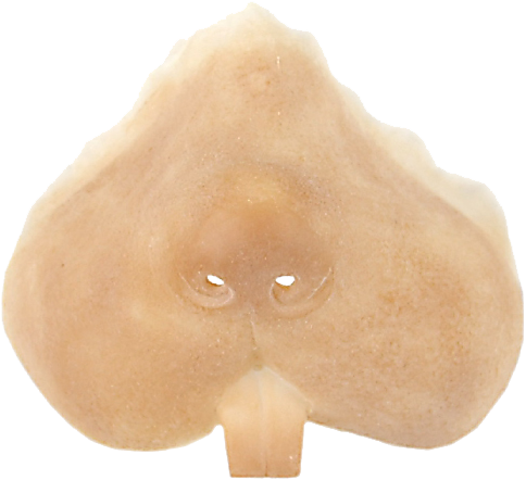 Grimas Latex Knaagdier Snuit 3 Grimas Latex Knaagdier Snuit