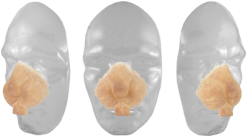 Grimas Latex Konijnensnuit -Glitter Winkel grimas latex konijnensnuit 2