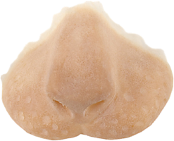 Grimas Latex Leeuwensnuit