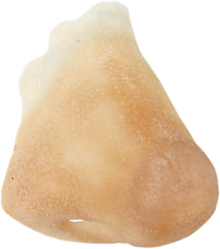 Grimas Latex Normale Neus