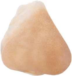 Grimas Latex Oriëntaalse Neus