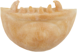 Grimas Latex Weerwolfkin