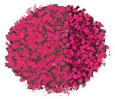 Sibel Haar Mascara Fuchsia