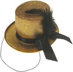 Schmink Specialist Midi Hoed Glitter Goud