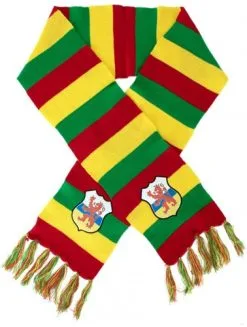 Party Xplosion Sjaal Carnaval Limburg